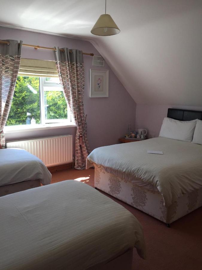 Padua Guest Accommodation Rosslare Rosslare Harbour Zewnętrze zdjęcie