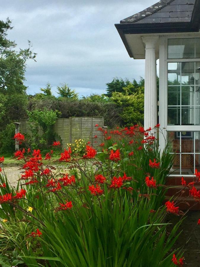 Padua Guest Accommodation Rosslare Rosslare Harbour Zewnętrze zdjęcie