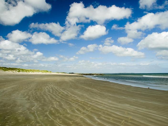 Padua Guest Accommodation Rosslare Rosslare Harbour Zewnętrze zdjęcie