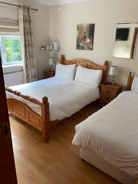 Padua Guest Accommodation Rosslare Rosslare Harbour Zewnętrze zdjęcie