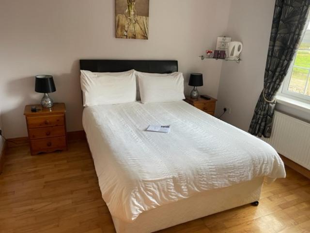 Padua Guest Accommodation Rosslare Rosslare Harbour Zewnętrze zdjęcie